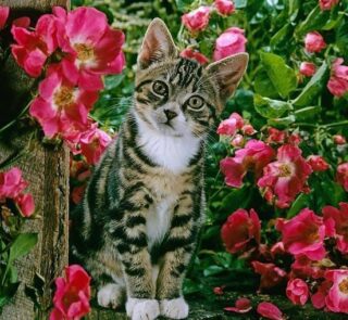 464587409_8683979664979146_7865741886270569121_n