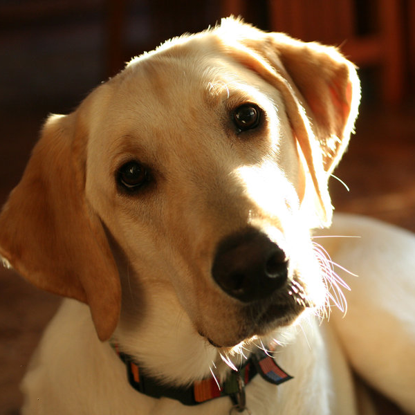 464631105_8683295881714191_4268746549690794015_n