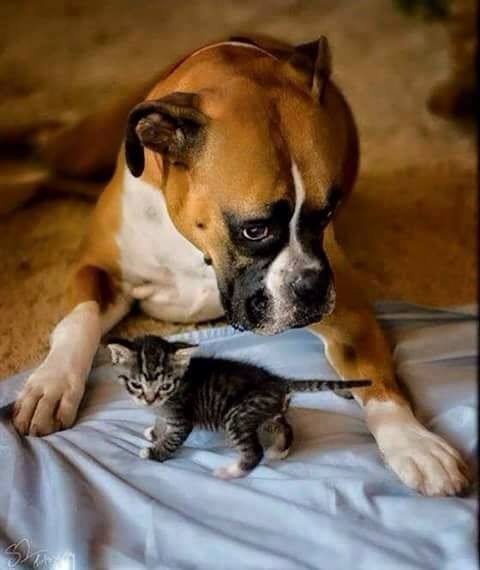 464855034_8683728445004268_7923762505964072547_n